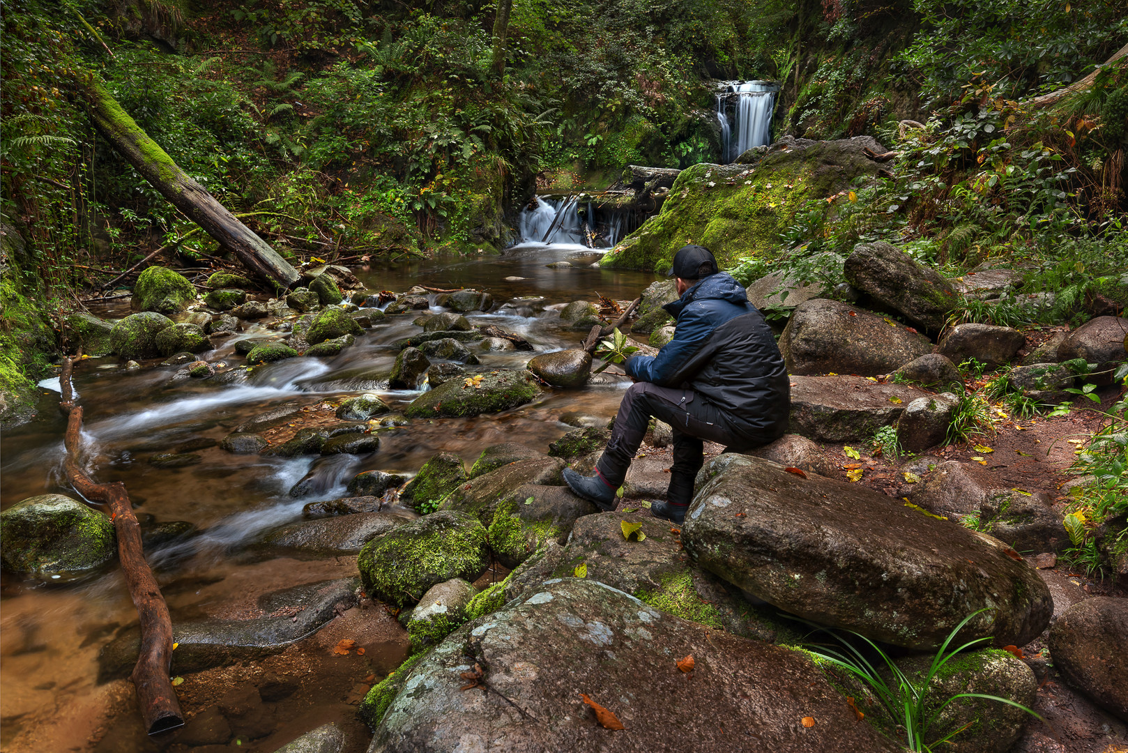 Schwarzwald 2020 - Gertelbacher Wasserfälle - Rundweg 