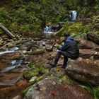 Schwarzwald 2020 - Gertelbacher Wasserfälle - Rundweg 