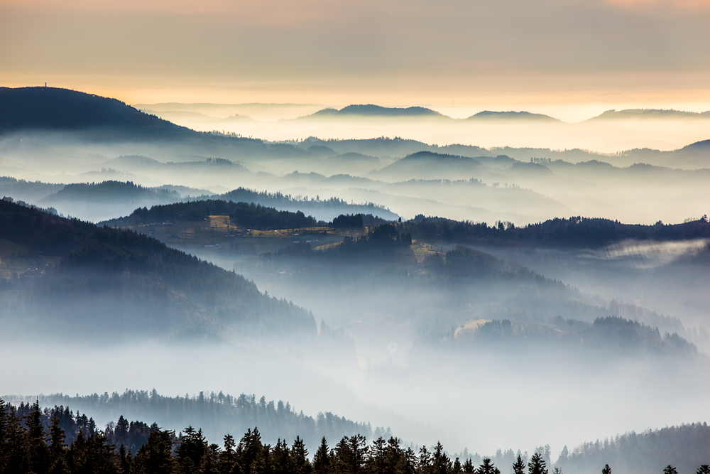 ..Schwarzwald...