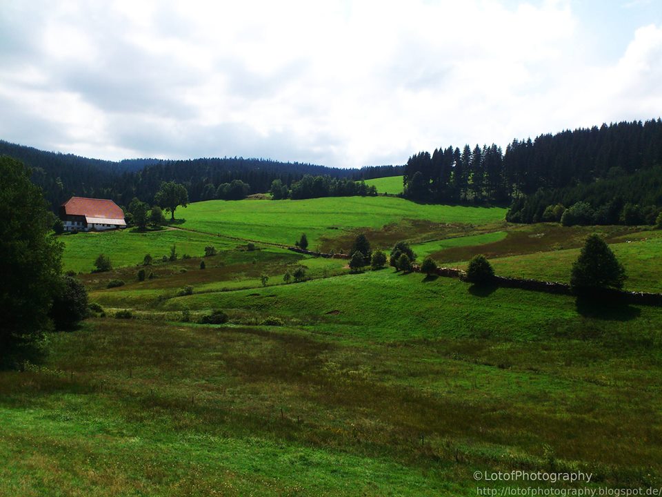 Schwarzwald