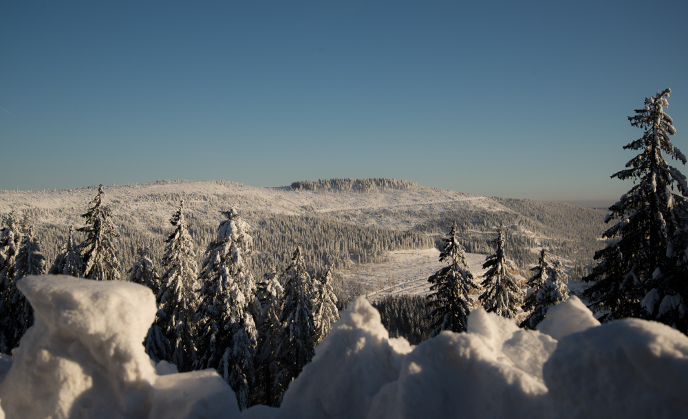 Schwarzwald