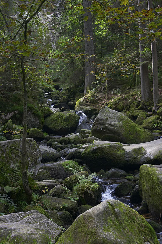 schwarzwald