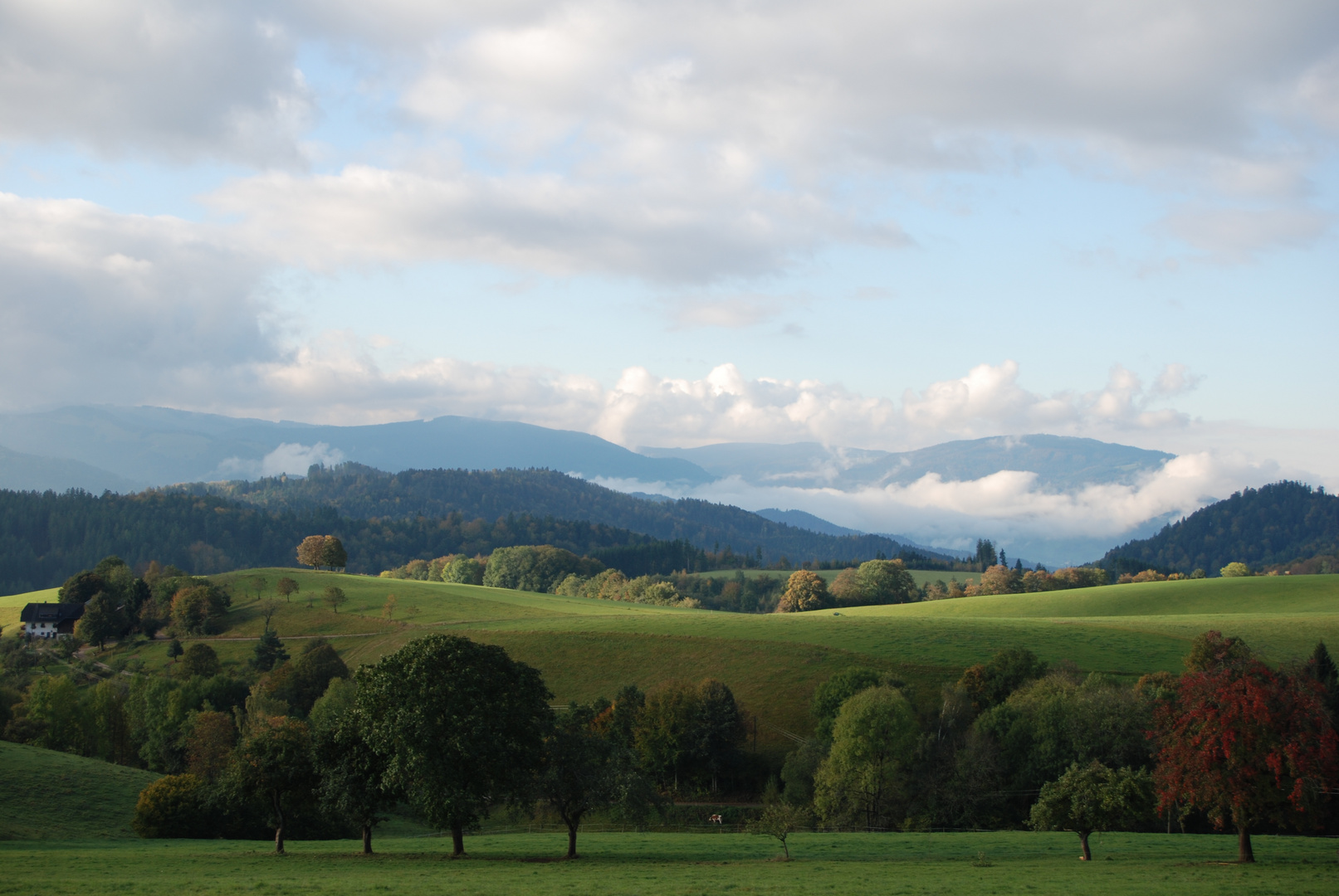 Schwarzwald