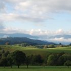 Schwarzwald