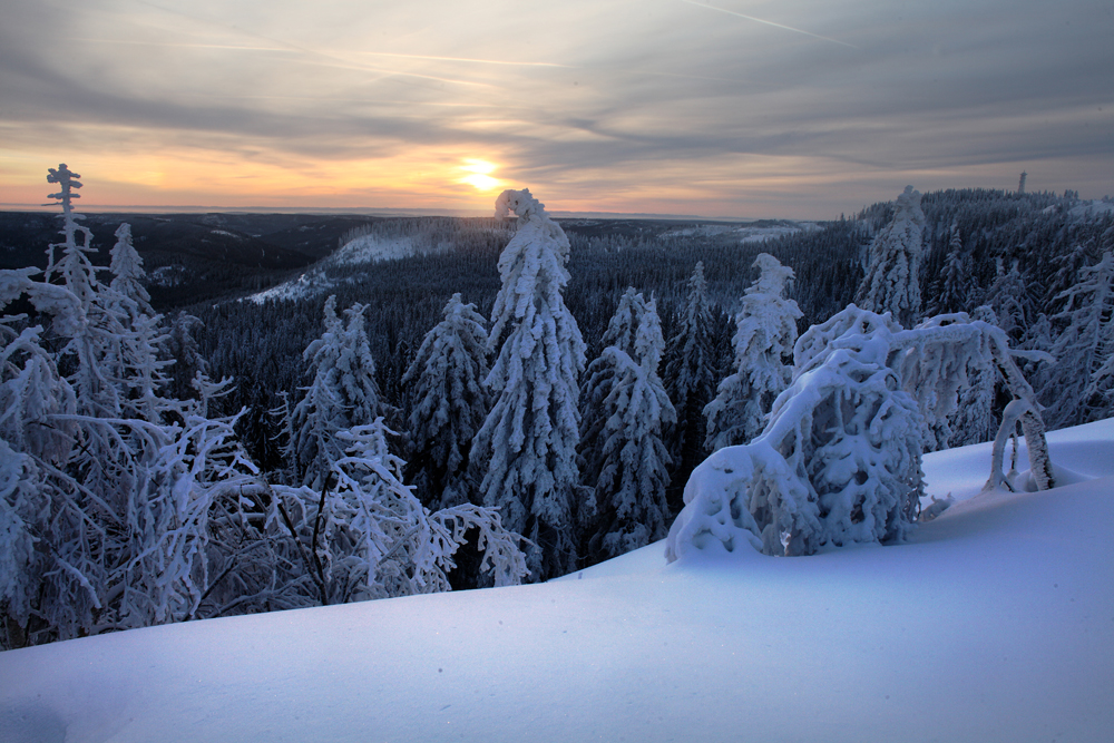 Schwarzwald