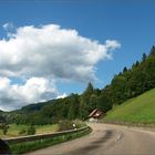 Schwarzwald