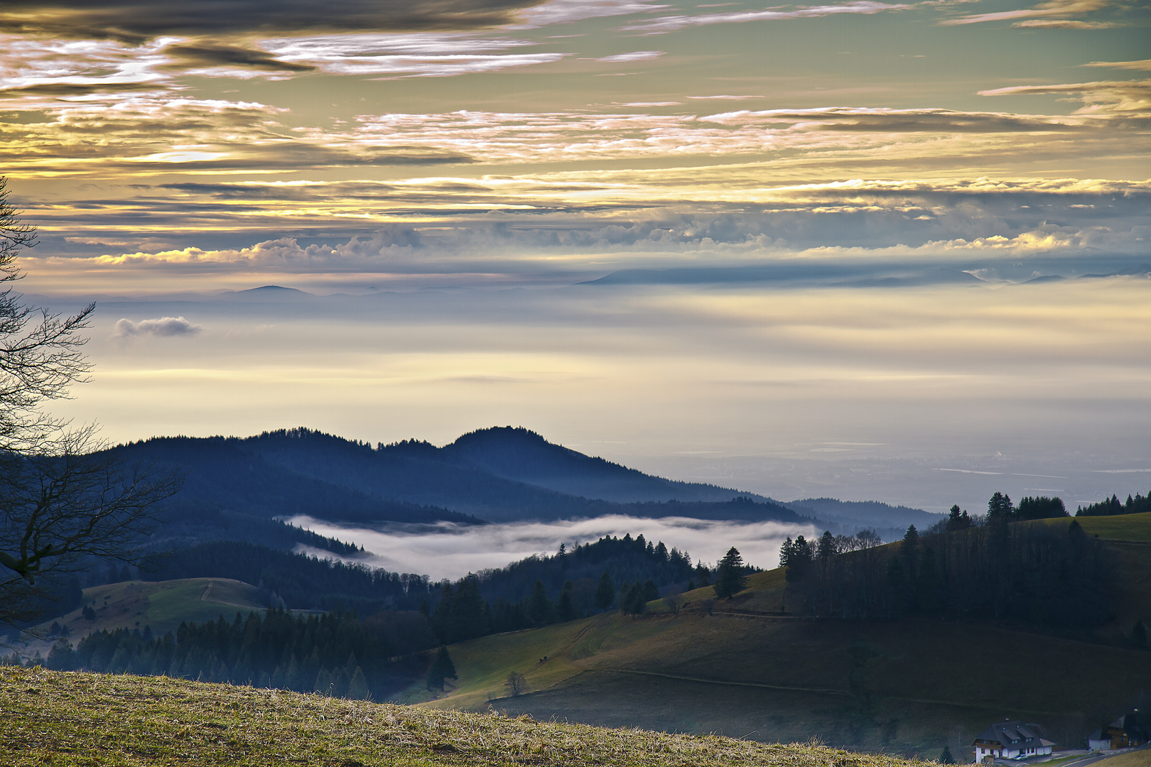 Schwarzwald