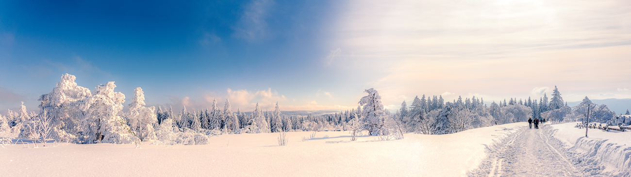 Schwarzwald 