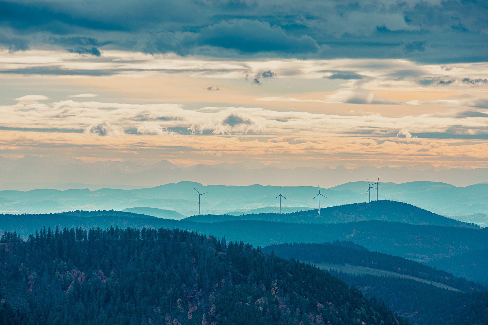 Schwarzwald