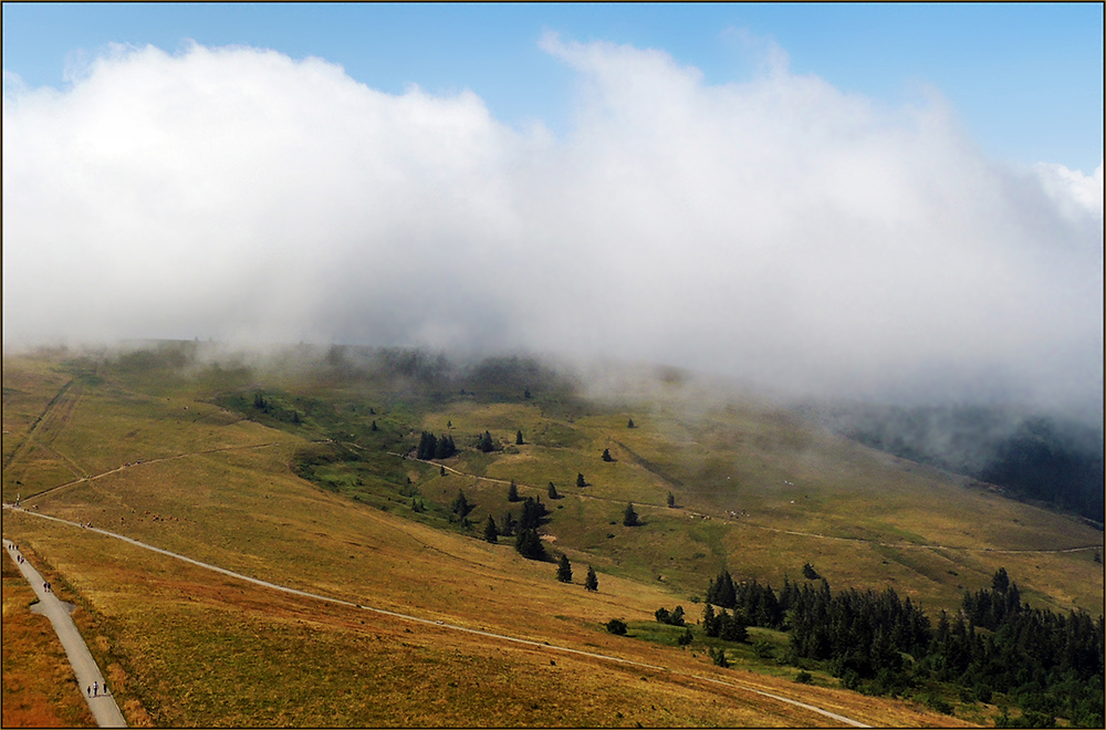 Schwarzwald