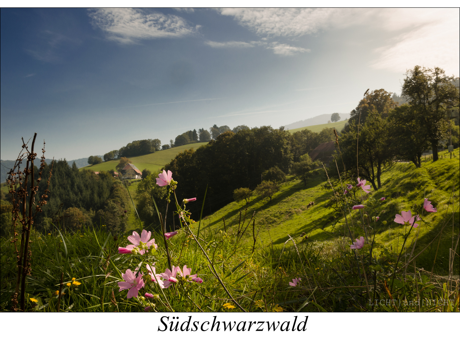 Schwarzwald