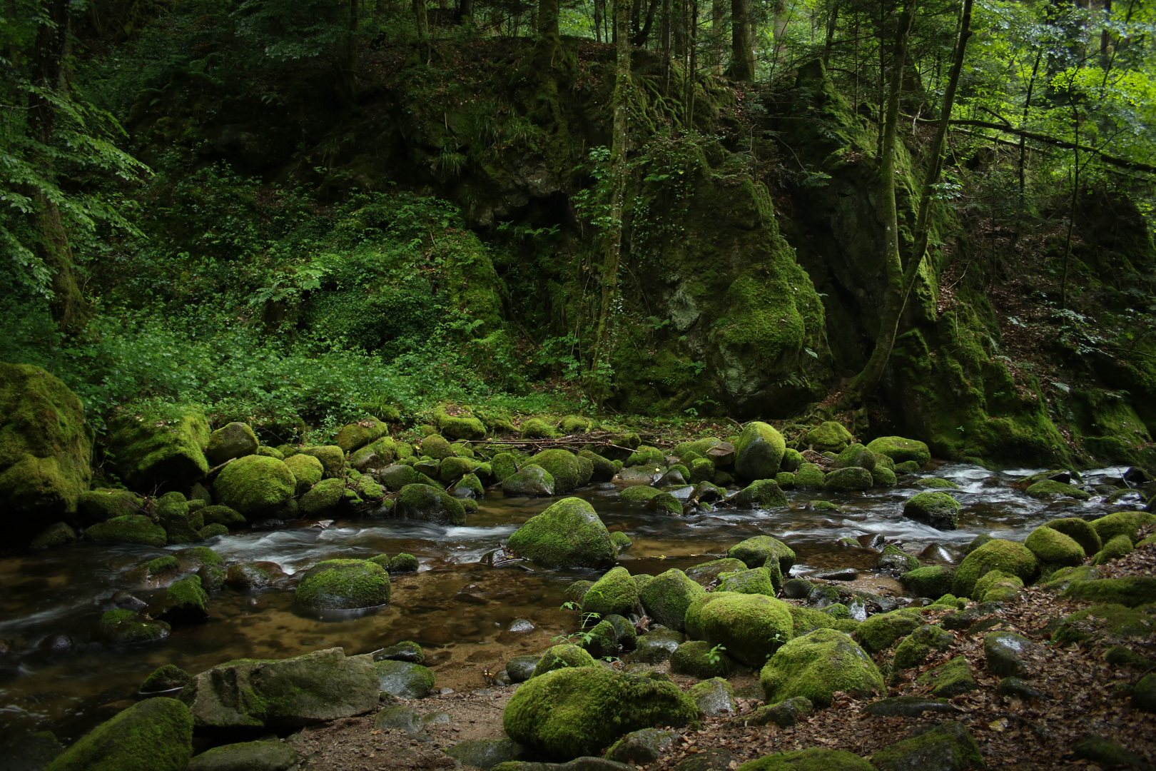 Schwarzwald