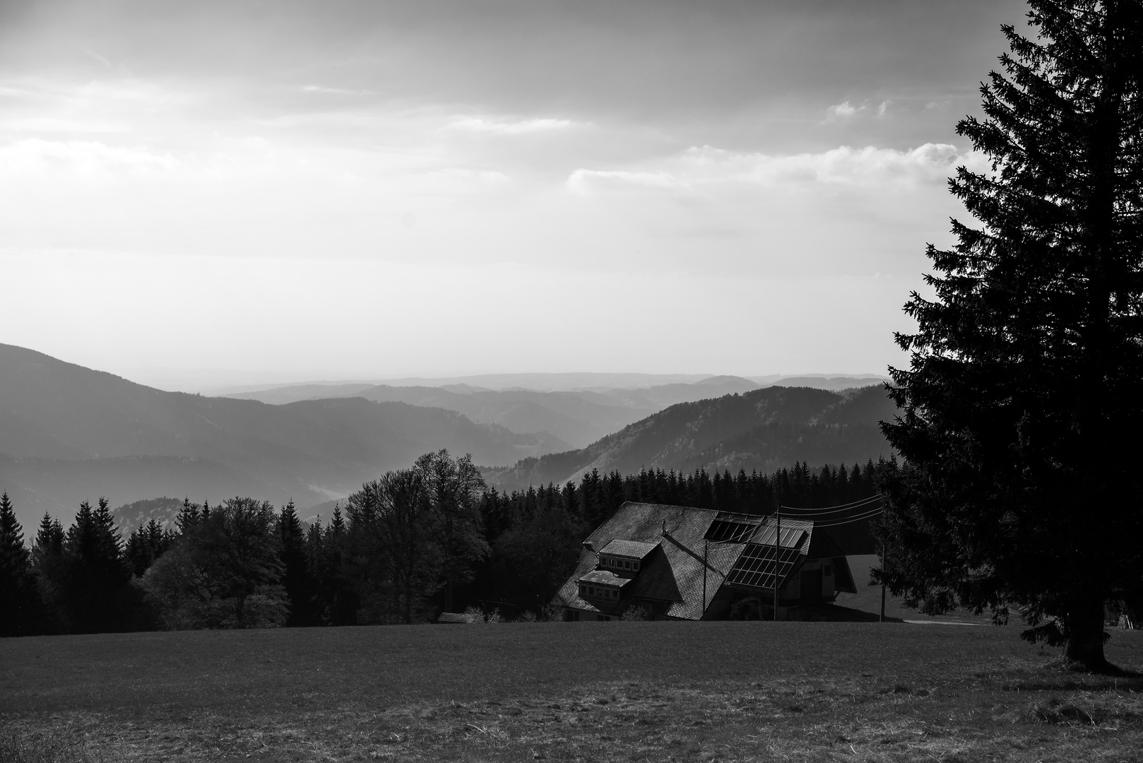 Schwarzwald