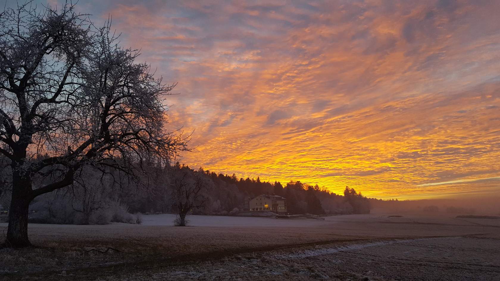 Schwarzwald