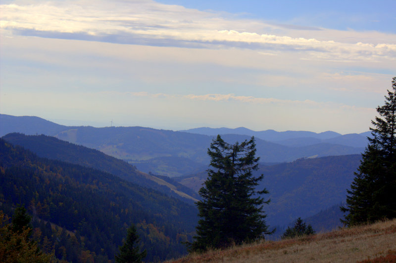 Schwarzwald