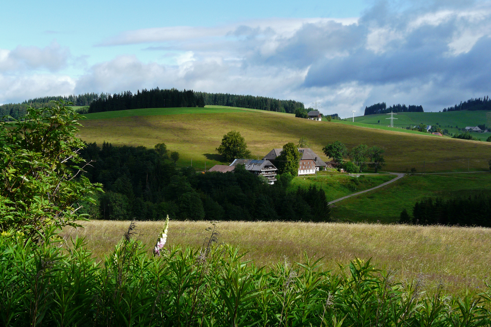 Schwarzwald