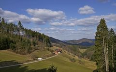 Schwarzwald