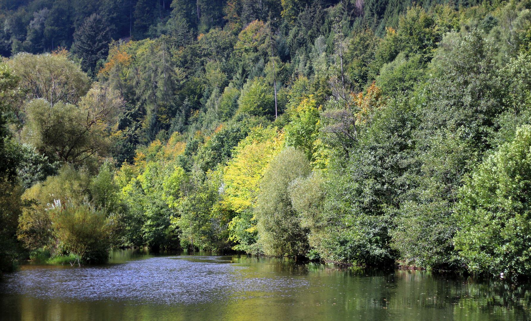 Schwarzwald