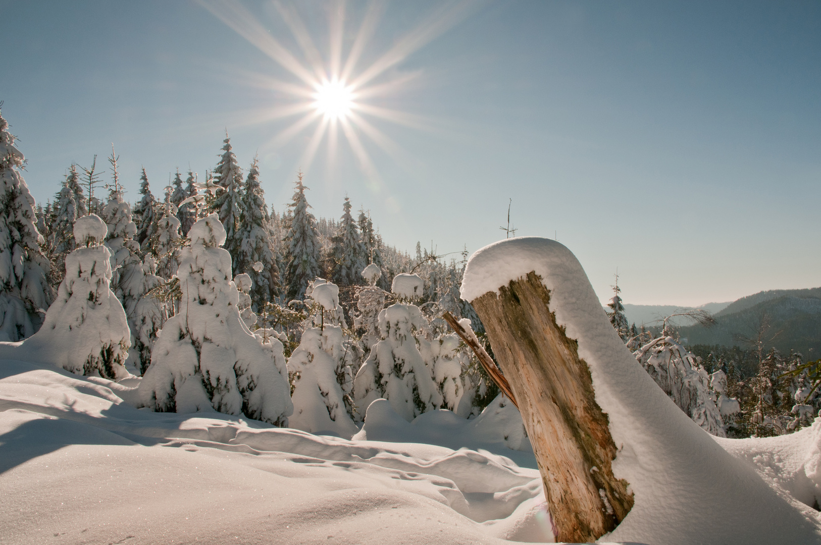 Schwarzwald