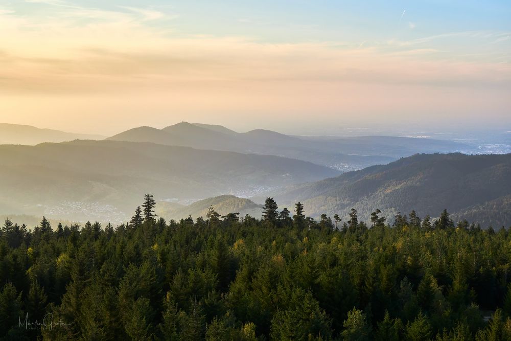 Schwarzwald