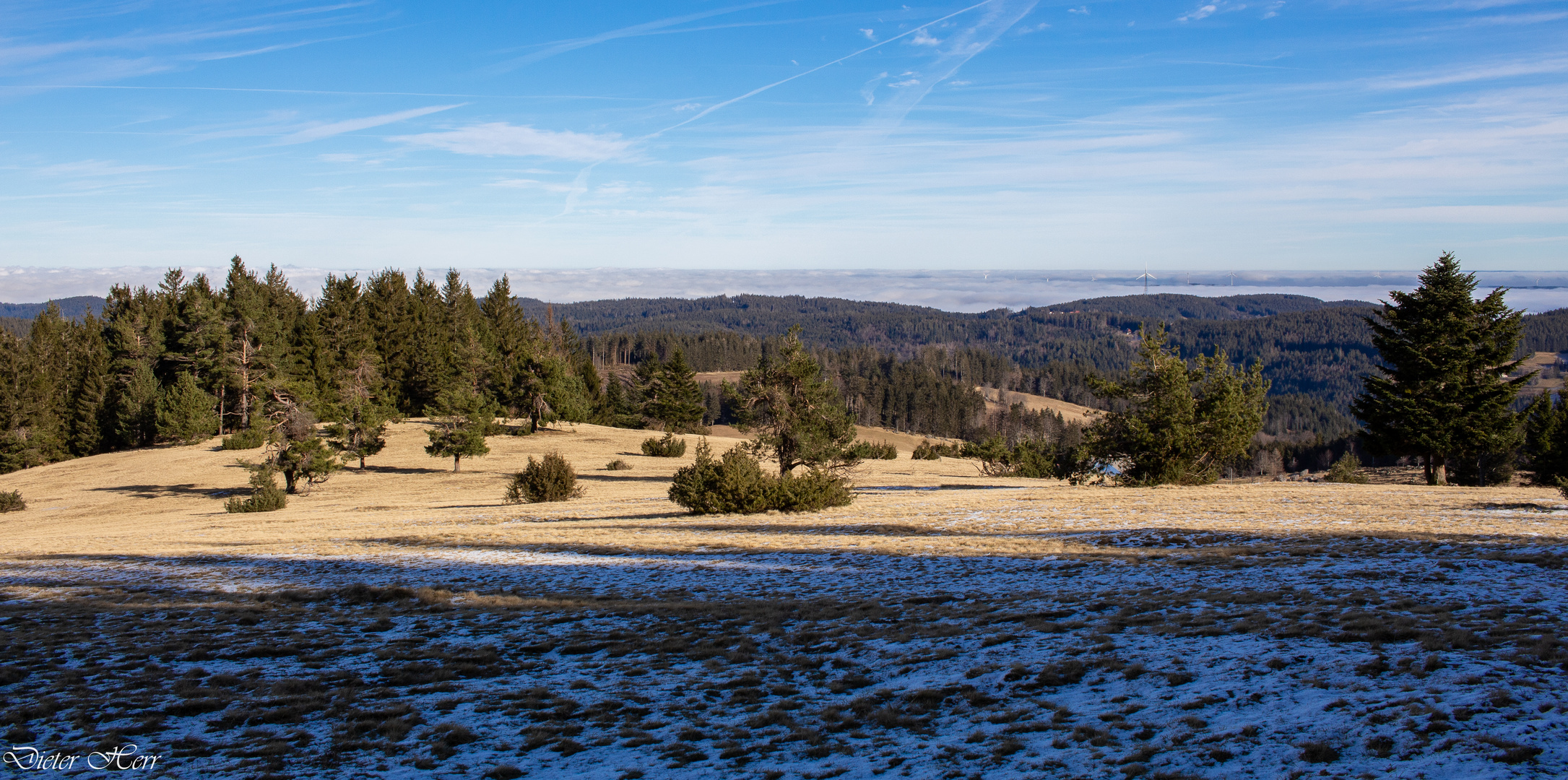 Schwarzwald....