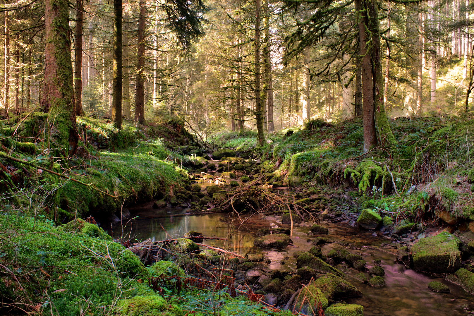 Schwarzwald