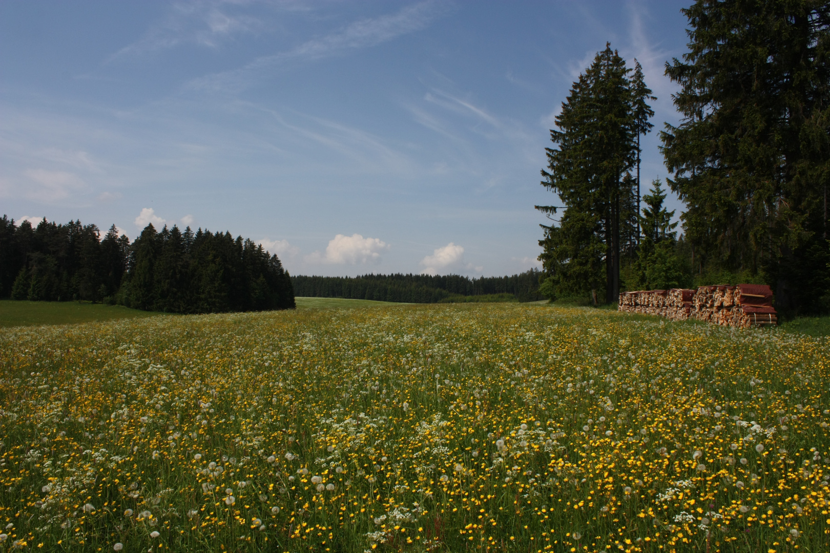 Schwarzwald