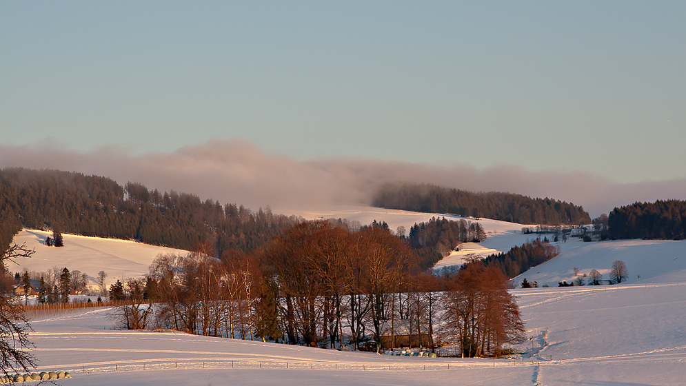 Schwarzwald