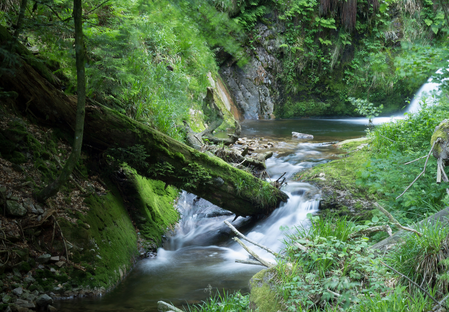 Schwarzwald