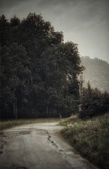 schwarzwald 9