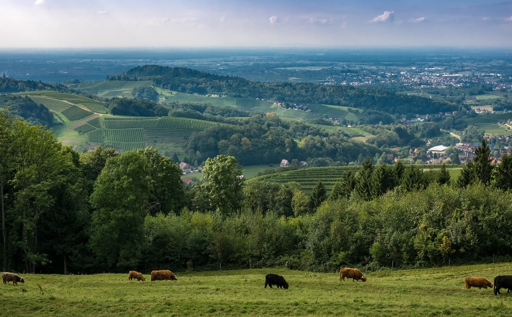 Schwarzwald