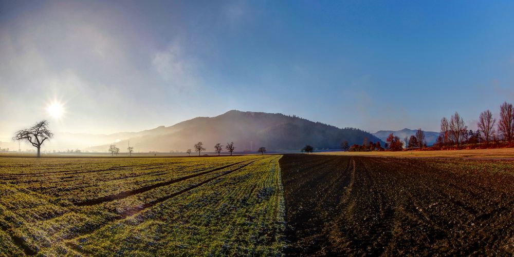 Schwarzwald. 