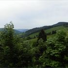 Schwarzwald-