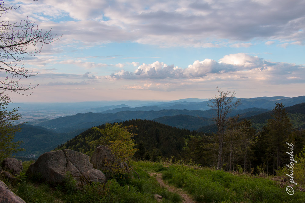 Schwarzwald