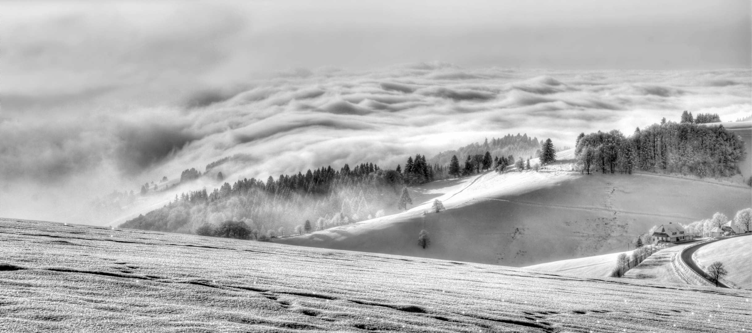 Schwarzwald