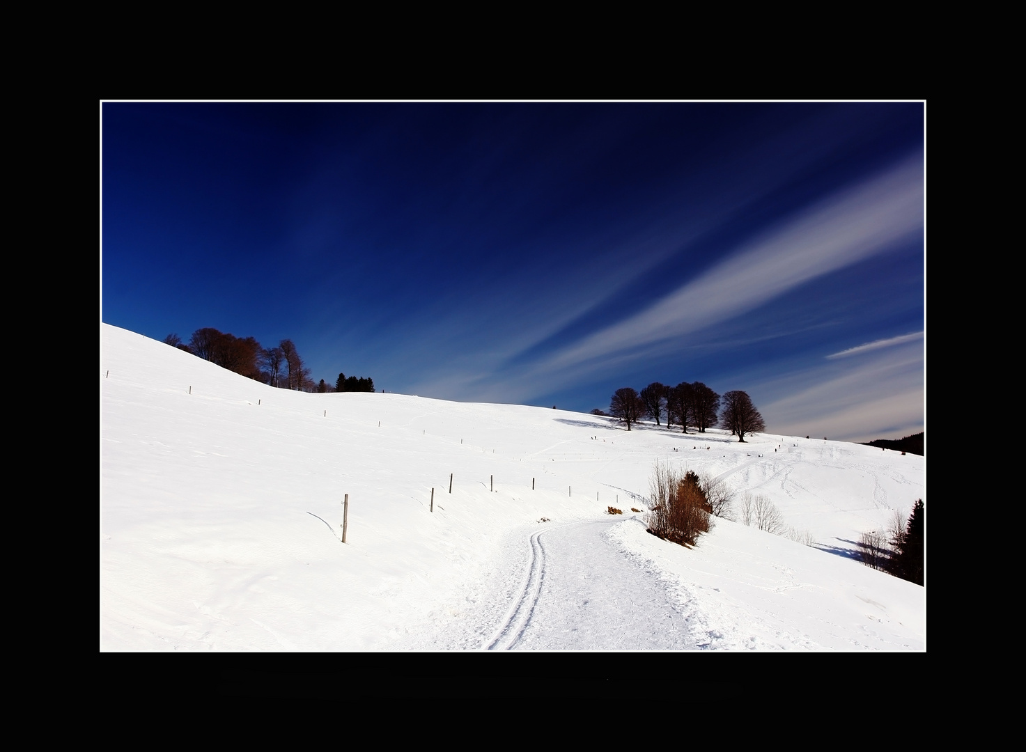 Schwarzwald