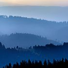 Schwarzwald 