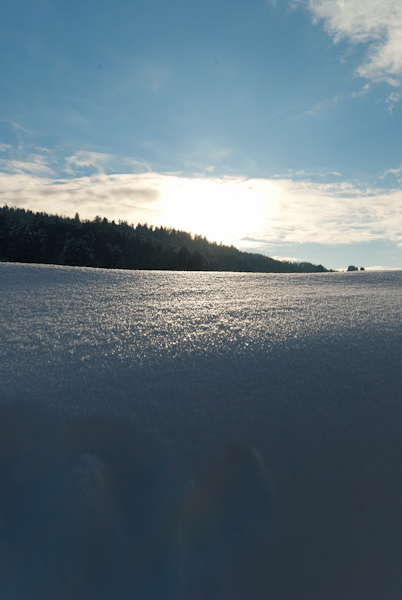 Schwarzwald