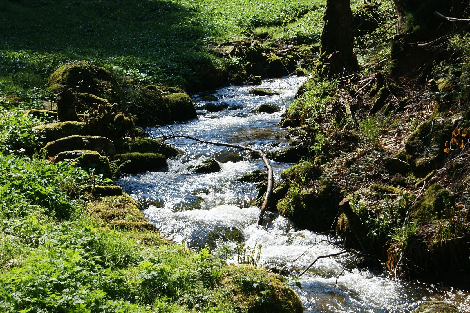 Schwarzwald