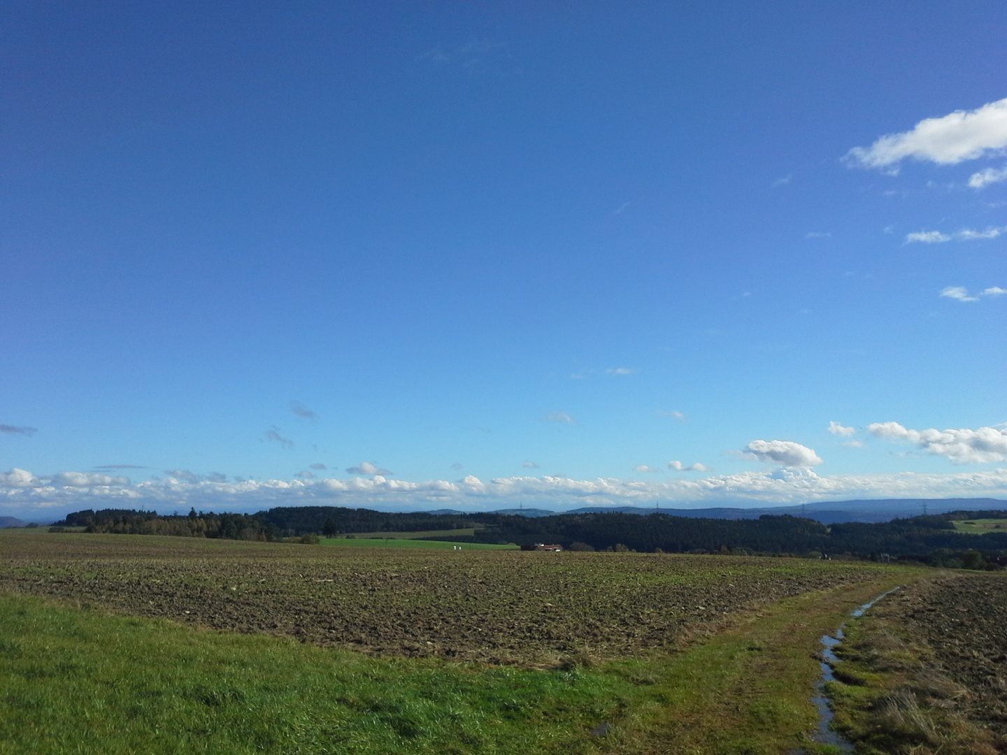 Schwarzwald Acker