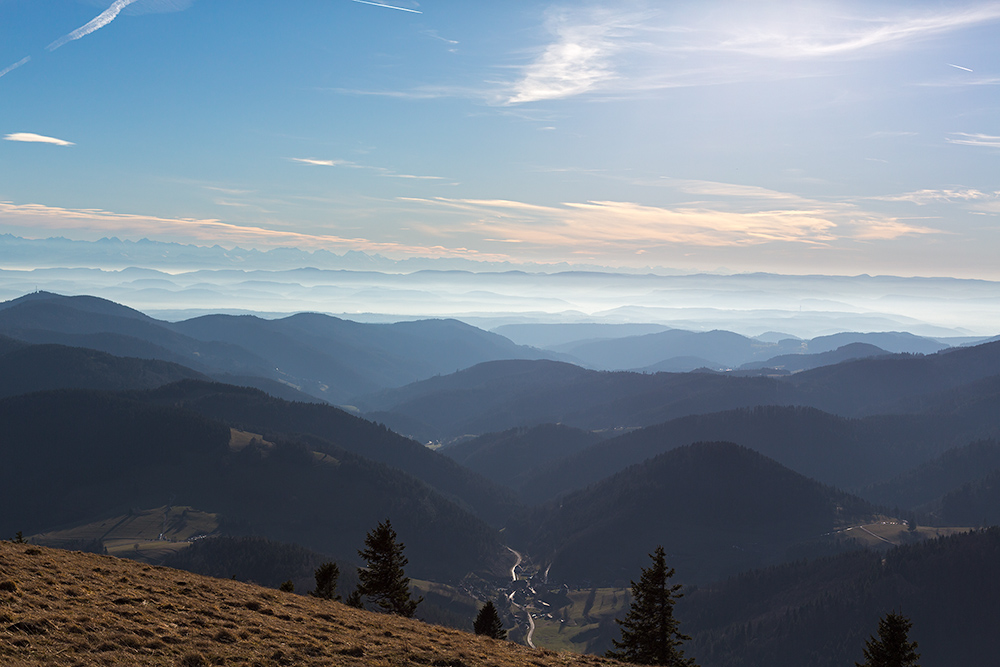 Schwarzwald