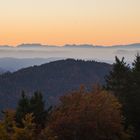 Schwarzwald - Alpen