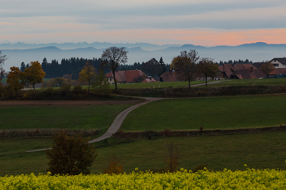 Schwarzwald - Alpenblick