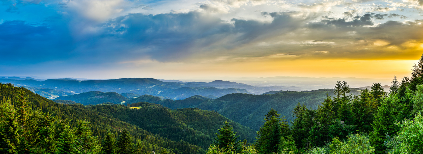 Schwarzwald am Abend