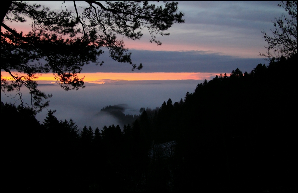 Schwarzwald am  Morgen