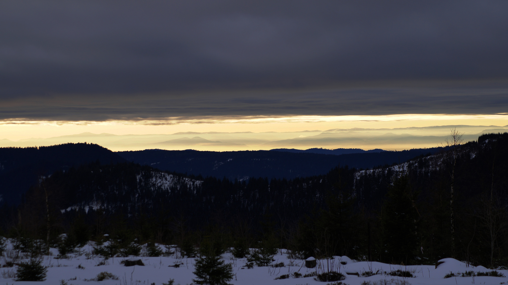 Schwarzwald am Nachmittag