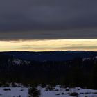 Schwarzwald am Nachmittag