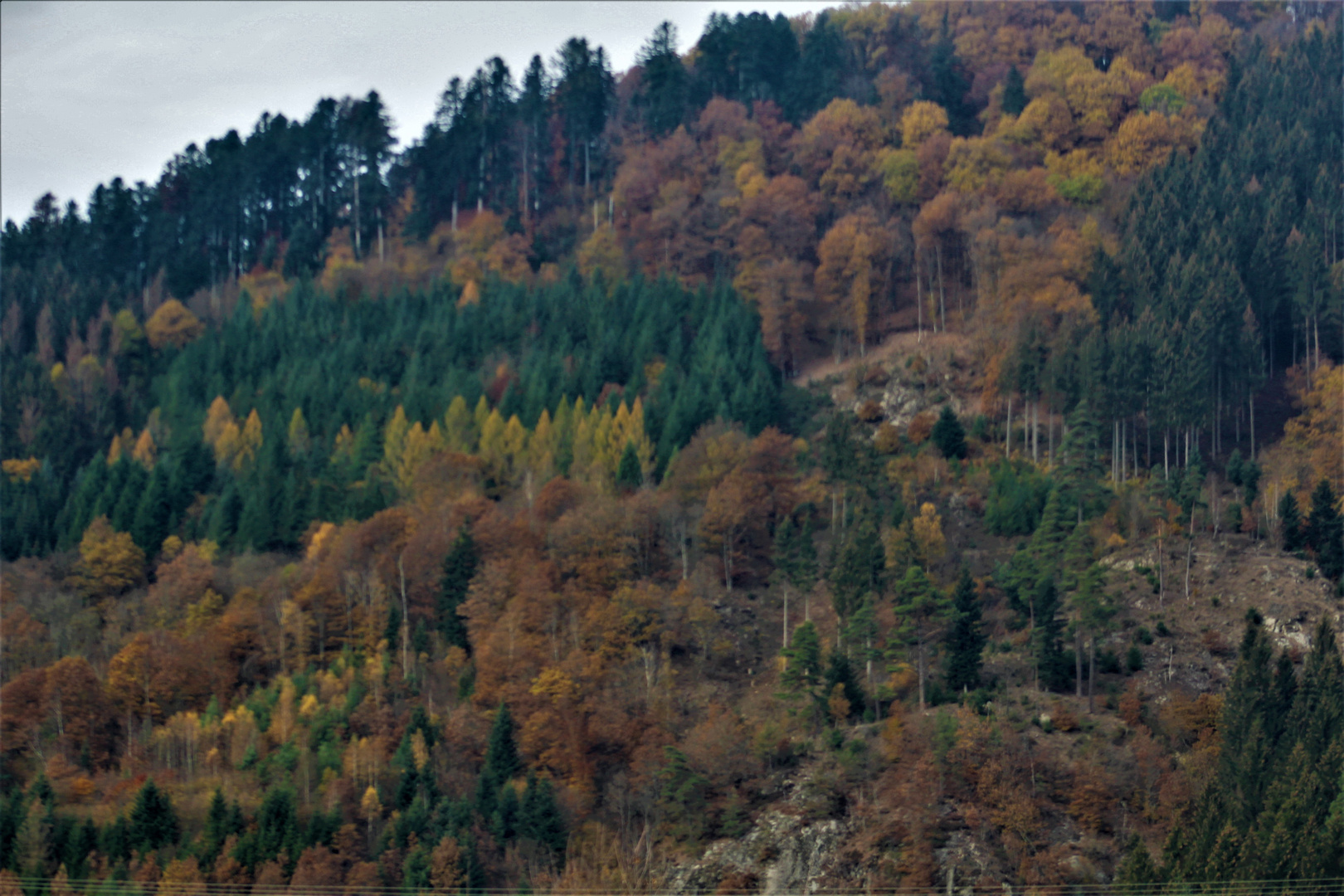 Schwarzwald Ansichten