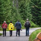 Schwarzwald Aug. 2019 