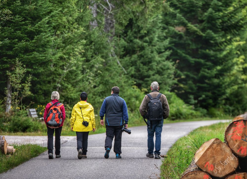 Schwarzwald Aug. 2019 